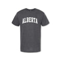 ALBERTA - T-shirt (Men's) - dark heather