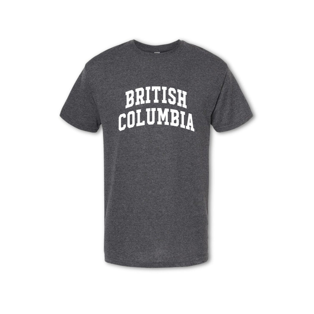 BRITISH COLUMBIA - T-shirt (Men's) - grey
