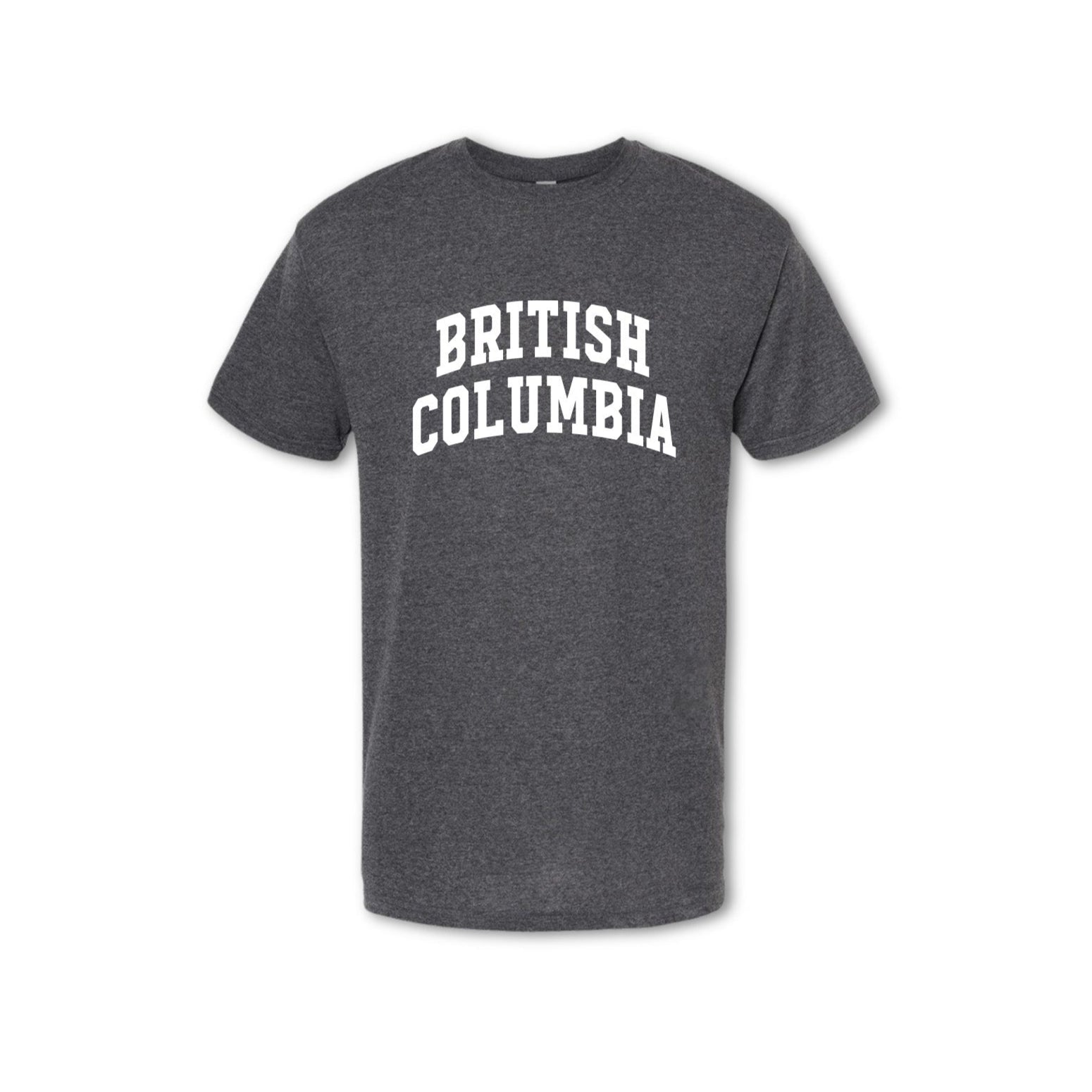 BRITISH COLUMBIA - T-shirt (Men's) - grey