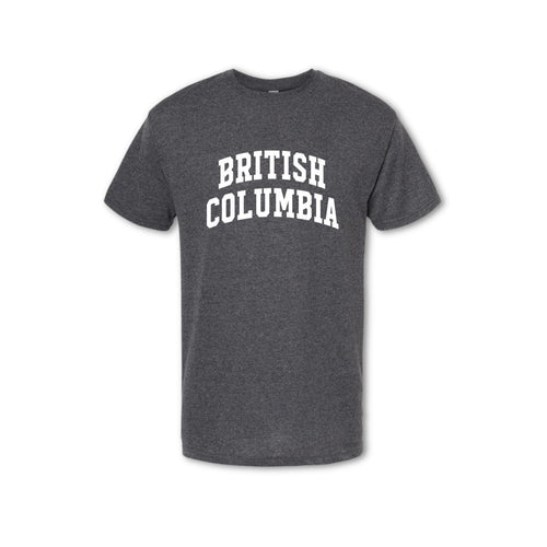 BRITISH COLUMBIA - T-shirt (Men's) - grey