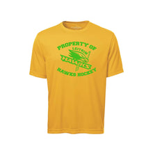 Load image into Gallery viewer, LEITRIM HAWKS - Dri-FIT T-Shirt (Property Of Logo)
