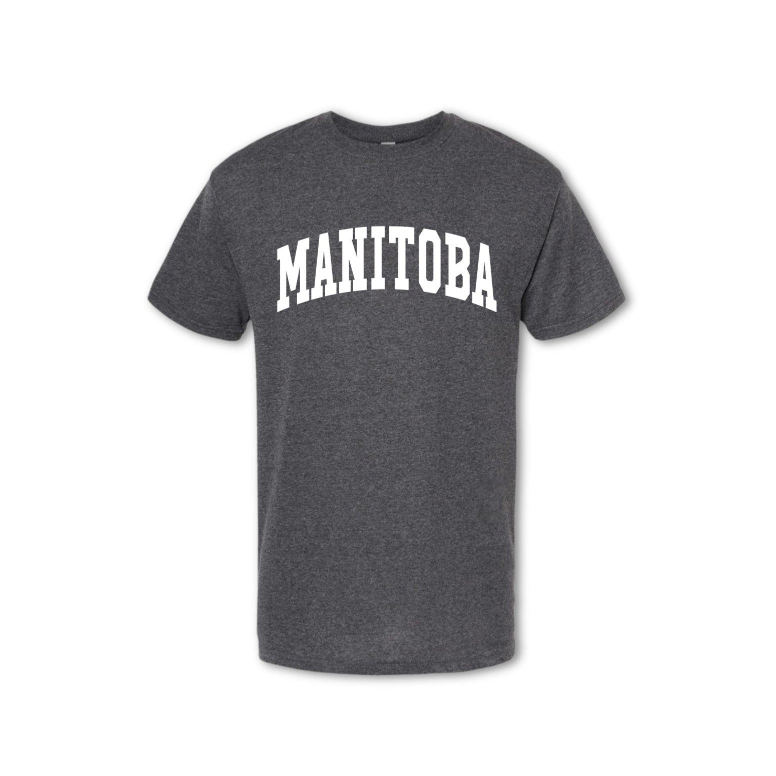 MANITOBA - T-shirt (Men's) - grey