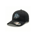 Ottawa South - Flexfit Cap