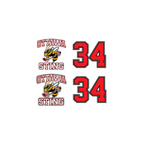 Load image into Gallery viewer, OTTAWA STING - Helmet Stickers
