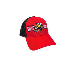 Load image into Gallery viewer, OTTAWA STING HOCKEY SNAP BACK
