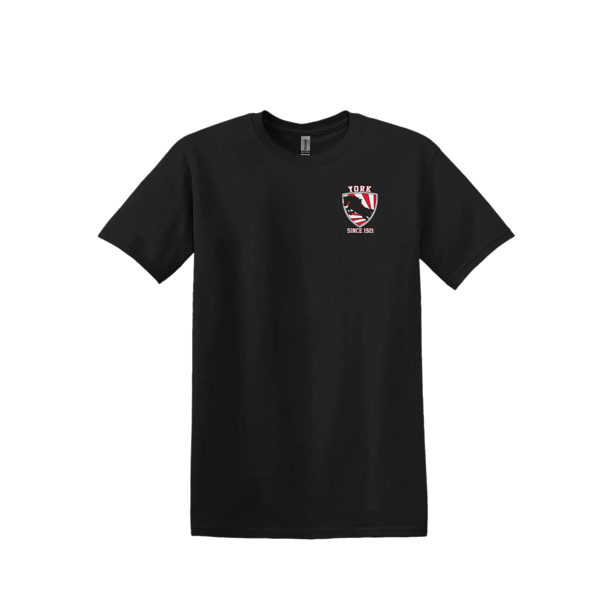 YORK STREET PUBLIC SCHOOL - Band T-Shirt