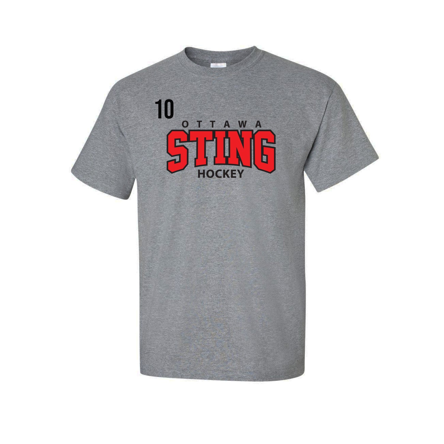 OTTAWA STING - Cotton T-Shirt - grey